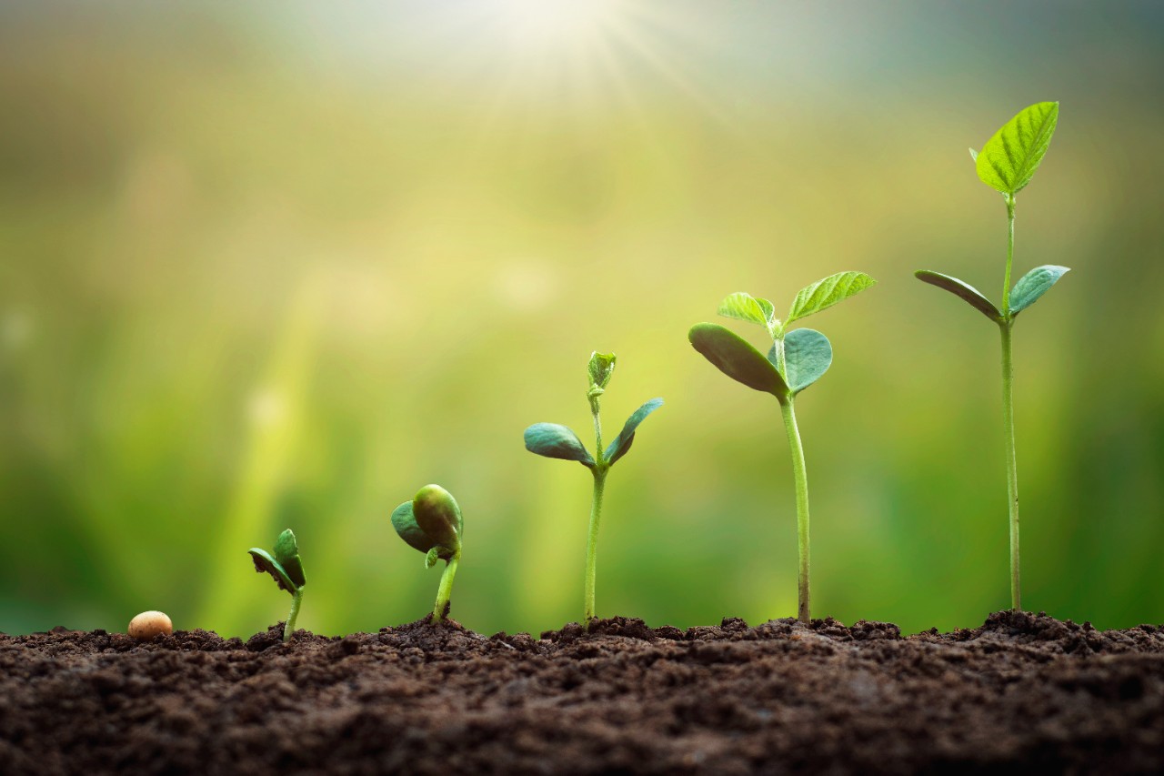 Credit Sesame Enlists Green Dot to Enhance Sesame Cash Digital Banking Offering Credit Sesame Enlists Green Dot to Enhance Sesame Cash Digital Banking Offering